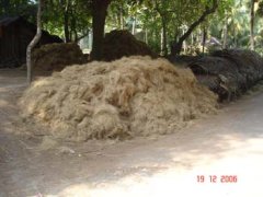 Fibre de coco
